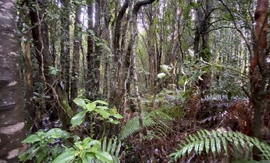 Parcela Country Pucon condominio privado con acceso privilegiada al lago