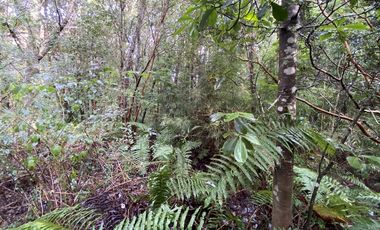 Parcela Country Pucon condominio privado con acceso privilegiada al lago