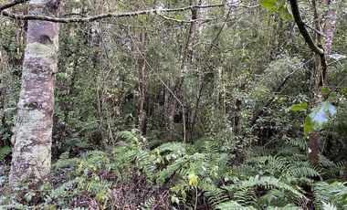 Parcela Country Pucon condominio privado con acceso privilegiada al lago