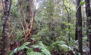 Parcela Country Pucon condominio privado con acceso privilegiada al lago