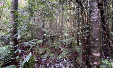 Parcela Country Pucon condominio privado con acceso privilegiada al lago