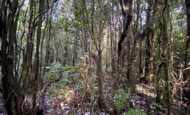 Parcela Country Pucon condominio privado con acceso privilegiada al lago