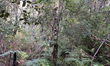 Parcela Country Pucon condominio privado con acceso privilegiada al lago