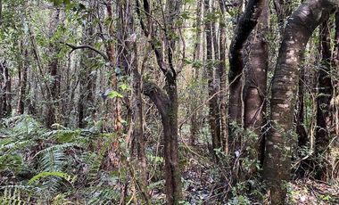 Parcela Country Pucon condominio privado con acceso privilegiada al lago