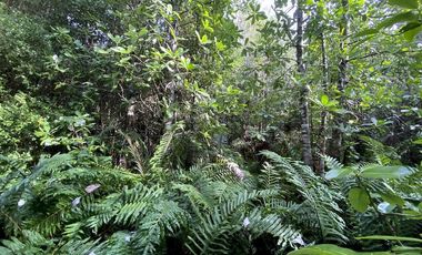 Parcela Country Pucon condominio privado con acceso privilegiada al lago