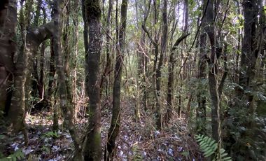 Parcela Country Pucon condominio privado con acceso privilegiada al lago