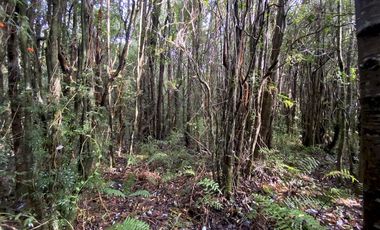 Parcela Country Pucon condominio privado con acceso privilegiada al lago