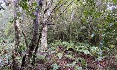 Parcela Country Pucon condominio privado con acceso privilegiada al lago