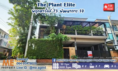 Sale The Plant Elite Pattanakarn38, 5 bedroom 300 sqm. Tel. 064-954----- (BT12-53)