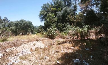 renta terreno en esquina sobre av.forjadores puebla