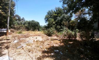 renta terreno en esquina sobre av.forjadores puebla