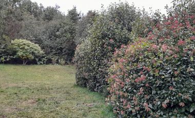 SE VENDE PROPIEDAD EN PUNTA QUIHUA, CALBUCO