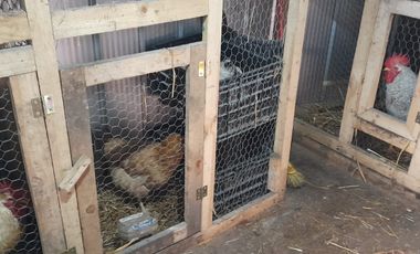 SE VENDE PROPIEDAD EN PUNTA QUIHUA, CALBUCO