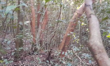 SE VENDE PROPIEDAD EN PUNTA QUIHUA, CALBUCO