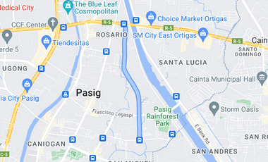 Industrial Lot in Pasig | Industrial Lot For Sale - #6040