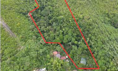 Lot for Sale in Consolacion, Cebu- Best for Farm, piggery, poultry business, a vacation house, or a mountain resort
