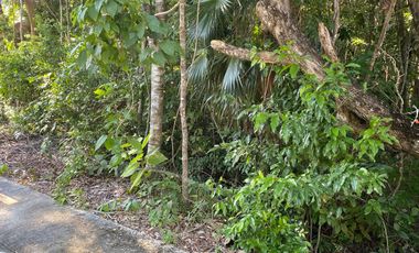 Mejor Lot 264 m2 en esquina Aldea Ha Puerto Morelos