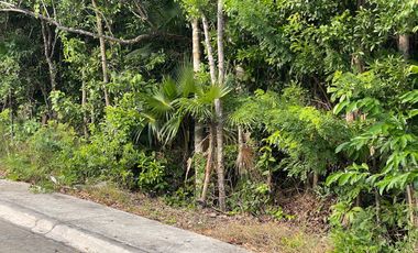 Mejor Lot 264 m2 en esquina Aldea Ha Puerto Morelos