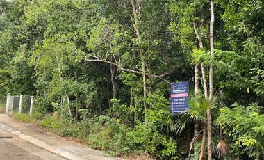 Mejor Lot 264 m2 en esquina Aldea Ha Puerto Morelos