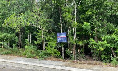 Mejor Lot 264 m2 en esquina Aldea Ha Puerto Morelos