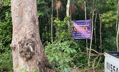 Mejor Lot 264 m2 en esquina Aldea Ha Puerto Morelos