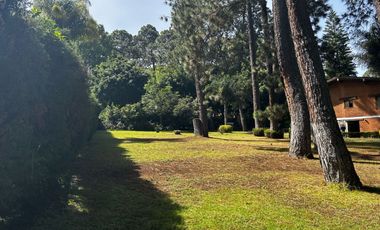 TERRENO EN VENTA EN EL CENTRO DE AVANDARO