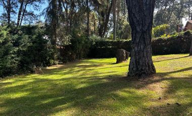 TERRENO EN VENTA EN EL CENTRO DE AVANDARO