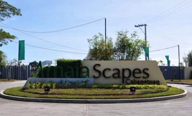 Affordable house and lot in Cabanatuan Nueva Ecija