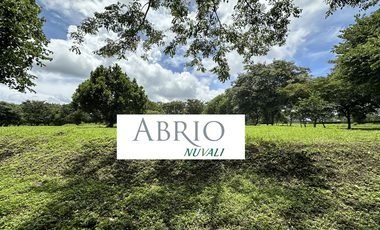 Abrio Nuvali for Sale, Phase 2 (953 sqm)