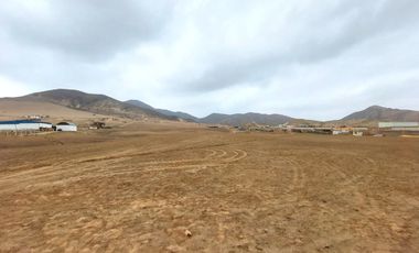 Vendo Terreno 8 Ha Con Frente A La Panamericana Sur Gran Industria $ 59.00 X M2