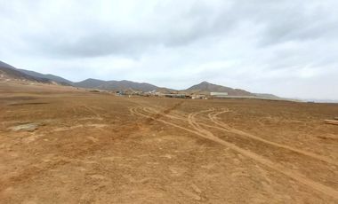 Vendo Terreno 8 Ha Con Frente A La Panamericana Sur Gran Industria $ 59.00 X M2