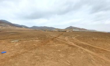 Vendo Terreno 8 Ha Con Frente A La Panamericana Sur Gran Industria $ 59.00 X M2