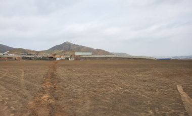 Vendo Terreno 8 Ha Con Frente A La Panamericana Sur Gran Industria $ 59.00 X M2