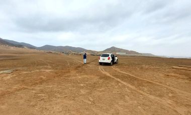 Vendo Terreno 8 Ha Con Frente A La Panamericana Sur Gran Industria $ 59.00 X M2