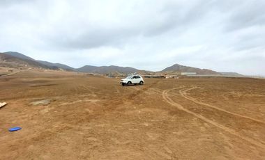 Vendo Terreno 8 Ha Con Frente A La Panamericana Sur Gran Industria $ 59.00 X M2