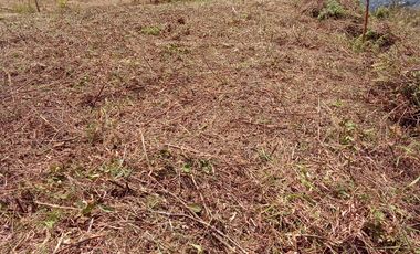 VENDO LOTE  CON DOS EXPLANACIONES, EN LA VEREDA LA AGUADA EN BARBOSA ANTIOQUIA.