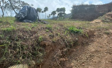VENDO LOTE  CON DOS EXPLANACIONES, EN LA VEREDA LA AGUADA EN BARBOSA ANTIOQUIA.