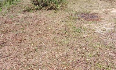 VENDO LOTE  CON DOS EXPLANACIONES, EN LA VEREDA LA AGUADA EN BARBOSA ANTIOQUIA.