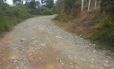 VENDO LOTE  CON DOS EXPLANACIONES, EN LA VEREDA LA AGUADA EN BARBOSA ANTIOQUIA.