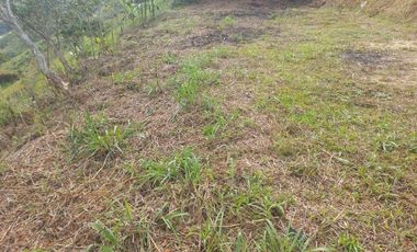 VENDO LOTE  CON DOS EXPLANACIONES, EN LA VEREDA LA AGUADA EN BARBOSA ANTIOQUIA.