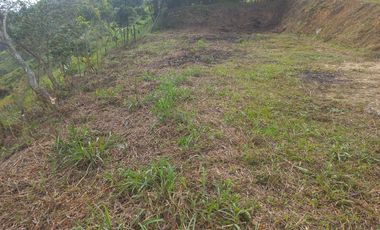VENDO LOTE  CON DOS EXPLANACIONES, EN LA VEREDA LA AGUADA EN BARBOSA ANTIOQUIA.