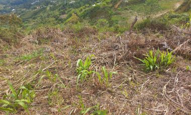 VENDO LOTE  CON DOS EXPLANACIONES, EN LA VEREDA LA AGUADA EN BARBOSA ANTIOQUIA.