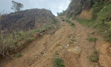 VENDO LOTE  CON DOS EXPLANACIONES, EN LA VEREDA LA AGUADA EN BARBOSA ANTIOQUIA.