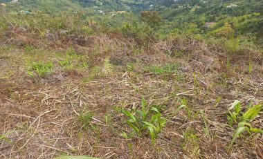 VENDO LOTE  CON DOS EXPLANACIONES, EN LA VEREDA LA AGUADA EN BARBOSA ANTIOQUIA.