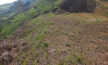 VENDO LOTE  CON DOS EXPLANACIONES, EN LA VEREDA LA AGUADA EN BARBOSA ANTIOQUIA.