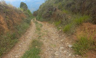 VENDO LOTE  CON DOS EXPLANACIONES, EN LA VEREDA LA AGUADA EN BARBOSA ANTIOQUIA.