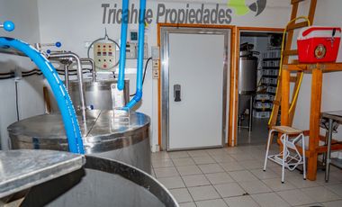 Venta de cervecería artesanal más casa en Paihuano, Valle del Elqui. $165 millones
