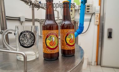 Venta de cervecería artesanal más casa en Paihuano, Valle del Elqui. $165 millones