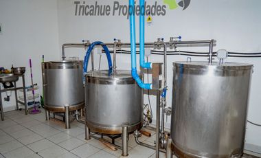 Venta de cervecería artesanal más casa en Paihuano, Valle del Elqui. $165 millones
