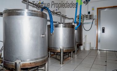 Venta de cervecería artesanal más casa en Paihuano, Valle del Elqui. $165 millones